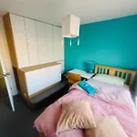 Mia Property